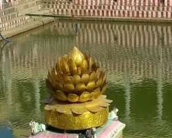 The temple is also popular for its  'Porthamarai Kulam' or 'The Golden Lotus Pond' which is in the temple complex. The hue of golden which is on the l